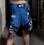 Merab Custom Shorst MMA Store India